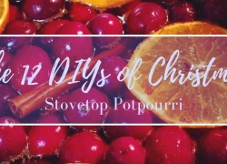 The 12 DIYs of Christmas: Stovetop Potpourri The 12 DIYs of Christmas: Stovetop Potpourri