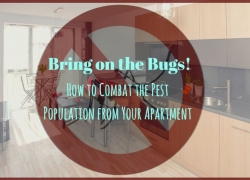 Bring on the Bugs: How to Combat the Pest Population from Your Apartment Bring on the Bugs: How to Combat the Pest Population from Your Apartment