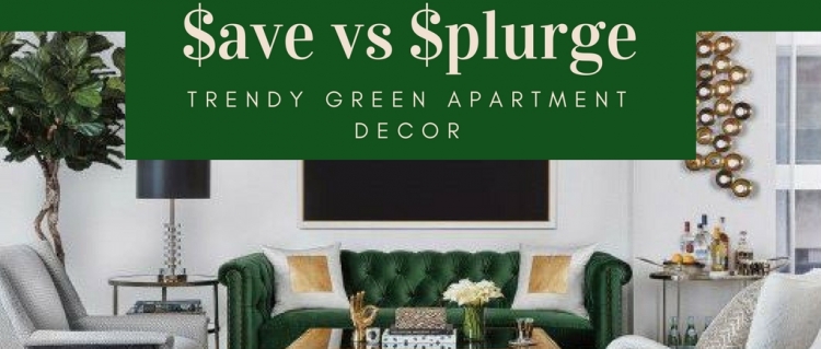 Save vs Splurge: Trendy Green Decor Ideas Save vs Splurge: Trendy Green Decor Ideas